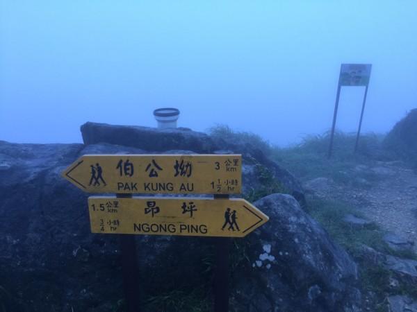长时间基本不运动的人突然开始跑步,算不算剧烈运动?要注意什么?-专业58问答交流平台